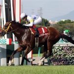 【競馬ニュース】スプリンターズ予想｜2016年穴馬が活躍しているコースから狙う注目馬