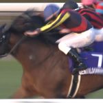 【競馬結果】[競馬] 2012世代の2大トップ、ジェンティルとゴルシが一切故障せず引退って