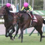 【競馬結果】[競馬] 池江「来年はサトノダイヤモンドで凱旋門に行く!!!」