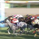 【競馬結果】[競馬] ソルヴェイグ買えた奴wwwwwwwwwww