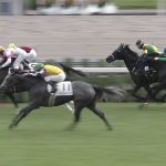 【競馬速報】[競馬] エルプシャフト駄馬すぎワロタwwwwww