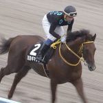 【競馬速報】[競馬] 岩田騎手、いよいよ過去最低連敗記録『82連敗達成』。。