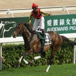 【競馬ニュース】[競馬] ルーラーシップ種付料 250万→300万→600万