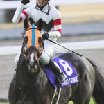 【競馬情報】ダートＧ１・１０勝のホッコータルマエが今年いっぱいで引退し、種牡馬入り