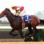 【競馬結果】１９９０年朝日杯３歳Ｓ覇者リンドシェーバー死す