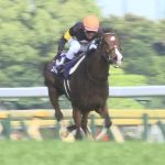 【競馬速報】[競馬] 日曜２鞍の戸崎「情けない、これが現実」