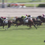 【競馬情報】《競馬》ブエナビスタ初子コロナシオンが新馬勝ち