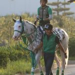 【競馬情報】ブチコ、浜中騎手を背にゲート再審査合格