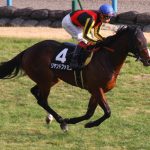 【競馬速報】三冠馬オルフェーヴルの全舎弟リヤンドファミユ 障害に転向