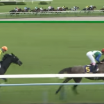 【競馬速報】サトノダイヤモンド菊花賞制覇の立役者はサトノエトワール【最下位】？サトノダイヤモンドのラビットだったのか？