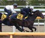【競馬ニュース】アルゼンチン共和国杯予想｜過去５年の複勝圏内馬の活躍コースとは