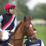 【競馬結果】天年アッゼニにＪＲＡが短期免許を交付短期免許を交付