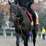 【競馬情報】エリザベス女王杯予想２０１６年｜複勝圏内馬の活躍コースからの注目馬