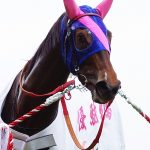 【競馬結果】メイショウマンボが今後どうやったら勝てるか？