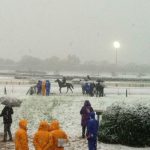 【競馬情報】[競馬] 《画像》都内競馬場、雪国になる