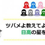 【競馬情報】つばめよ教えてよ!日高の星を!～京都編～《11月27日版》