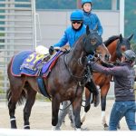 【競馬情報】トーセンバジル｜２０１６年JC【ジャパンカップ】注目穴馬