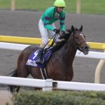 【競馬結果】ジャパンカップ ディーマジェスティ１３着！この世代は強いの？弱いの？