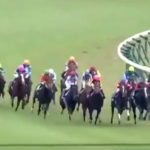 【競馬速報】今年のジャパンカップでは騎手の特徴が出てた!!騎手買いの参考になるかも
