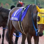 【競馬情報】タガノトネール調教中に骨折で安楽死！