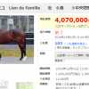 【競馬ニュース】リヤンドファミユが４０７万札で落札!!!？