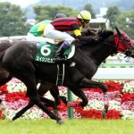 【競馬情報】エイシンヒカリ初年度の種付け料250諭吉は安いのか？高いのか？