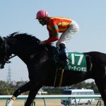 【競馬結果】重賞2勝ディープインパクト産駒マーティンボロ、フランスで種牡馬入り
