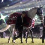 【競馬速報】ゴールドシップロス。去年の有馬で引退しただったなあ。？