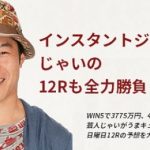 【競馬速報】インスタントジョンソンじゃいの12月25日(日)中山11R・阪神12R予想!