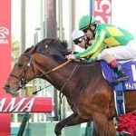 【競馬ニュース】[競馬/有馬] 勝敗決めるゴール版で笑顔で会話するワンツー騎手がいるらしい!!!!!!