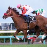 【競馬情報】日経新春杯予想｜2017年｜当てるために必要なもの