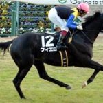 【競馬結果】フィエロ(牡８)高松宮記念参戦へ