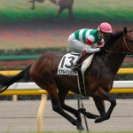 【競馬ニュース】リアルインパクト、オーストラリアで134頭に種付けして帰国！日本で139頭のため合計273頭