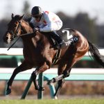 【競馬ニュース】種牡馬入りのミッキーアイルが社台SSに到着、種付料は150諭吉