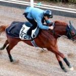 【競馬速報】都内新聞杯予想｜2017年｜過去５年の複勝圏内馬の活躍コース