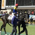 【競馬速報】アパパネの仔、モクレレ骨折 全治３ヶ月