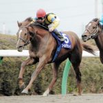 【競馬結果】フェブラリーＳ覇者ゴールドアリュール死す