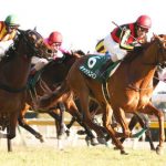 【競馬ニュース】キャットコイン引退し、繁殖入り