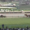 【競馬情報】【競馬】ファンディーナ、５馬身差の圧勝!!!/フラワーＣ