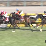 【競馬情報】【日経賞 2017】出走予定馬・想定騎手/中山＆長距離が得意なのは