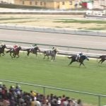 【競馬ニュース】【大寒桜賞 2017】movie・結果/アドマイヤウイナーが差し切り2勝目を挙げる