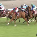 【競馬速報】【ニュージーランドトロフィー 2017】出走予定馬・想定騎手/3歳マイル王を占う一戦