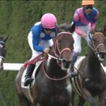 【競馬情報】【ニュージーランドトロフィー 2017】予想オッズ/混戦の一戦を制すのは