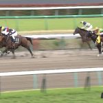 【競馬結果】【京葉ステークス 2017】データ・枠順/データ的に外枠有利