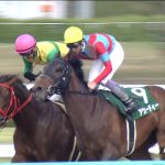 【競馬結果】【アンタレスステークス 2017】出走予定馬・想定騎手/ダート中距離路線を占う一戦