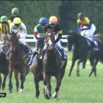 【競馬情報】【ヴィクトリアマイル 2017】出走予定馬・想定騎手/ぶつかり合う女の意地