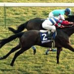 【競馬ニュース】天皇賞馬・ヤマニンゼファー死す 29歳老衰