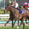 【競馬ニュース】【日本ダービー 2017】データ・枠順/栄光をつかむ馬は？