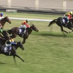 【競馬速報】【安田記念 2017】出走予定馬・想定騎手/春のマイル王の座を争う