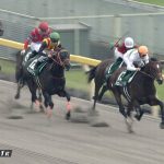 【競馬速報】【ユニコーンステークス 2017】出走予定馬・想定騎手/今後の3歳ダート路線を占う一戦